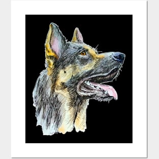 German shepherd Posters and Art